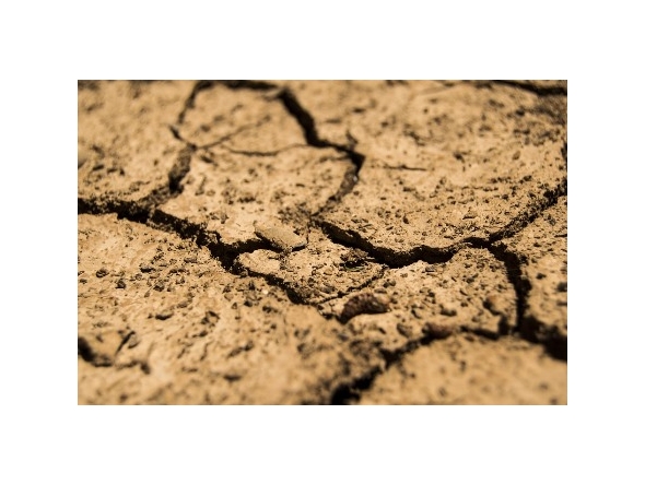 Representational file photo.