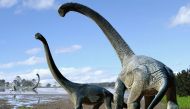 A handout photo released by Nature shows an artist's impression of life restoration of the Savannasaurus elliottorum based on the type specimen and comparisons with titanosaurs from around the world. Scientists unveiled on October 20, 2016 fossils from a 