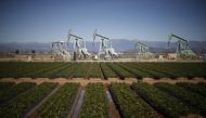 Oil pump jacks are seen next to a strawberry field in Oxnard, California. Reuters/Lucy Nicholson
