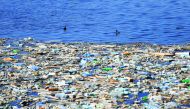 Ducks swim along a closed-off shoreline in Sidon, southern Lebanon, yesterday.