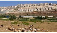 At least 570,000 Israelis were living in the settlements, according to a report released in October [Emily Mulder/Al Jazeera]
