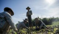 Land ownership is one of the most contentious issues in Myanmar, where the army stands accused of rampant land-grabbing during its 50-year rule ©Ye Aung Thu (AFP/File).