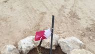 A seedling distributed under the initiative.