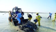 Waste being removed from a beach during the cleaning drive.