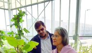 Amber Thévoz examines plants at Qur’anic Botanic Garden’s facilities at the Qatar Foundation Nursery.