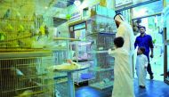 A pet shop at Souq Waqif.