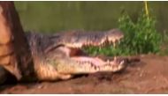 This Reuters file photo is used for graphical purpose
