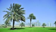 Qatar wind File photo used for reference