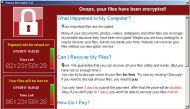 A screenshot shows a WannaCry ransomware demand, provided by cyber security firm Symantec, in Mountain View, California, U.S. May 15, 2017. Courtesy of Symantec/Handout via REUTERS