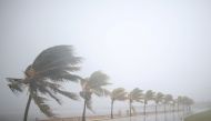 Palm trees sway in the wind prior to the arrival of the Hurricane Irma in Caibarien, Cuba, September 8, 2017. REUTERS/Alexandre Meneghini
