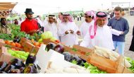 A file photo of officials visiting Al Mazroua Yard. Pic: Kammutty V P / The Peninsula