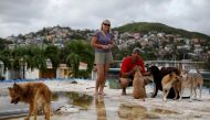 Sandra Harasimowicz and her husband Gary Rosario pose for a photo next to their dogs, on the roof of a neighbor's house, after the area was hit by Hurricane Maria in Yauco, Puerto Rico September 25, 2017. REUTERS/Carlos Garcia Rawlins