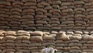 A dog stands on the heaps of sacks filled with paddy at a wholesale grain market in Chandigarh, November 18, 2016 (REUTERS / Ajay Verma) 