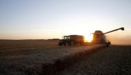 A French farmer drives his combine harvester as he harvests wheat in a field during sunset in Trescault, near Cambrai, northern France, August 5, 2015. Reuters/Pascal Rossignol