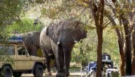 Elephants Pictured at Maramba River Lodge in Livingstone  (Photo courtesy: Lusaka Times? @lusakatimes) 