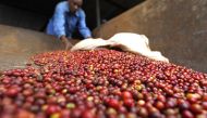 Kenyan coffee farmers. FILE PHOTO. Reuters
