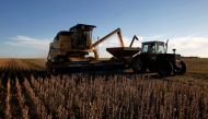 FILE PHOTO: Soybeans are harvested on a farm on the outskirts of San Jose, Uruguay, April 27, 2011. REUTERS/Andres Stapff/File photo