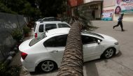 A security guard runs past cars damaged by a fallen tree after Sunday night's dust storm in New Delhi, India May 14, 2018. REUTERS/Adnan Abidi