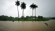 A view of a partially flooded farm as Subtropical Storm Alberto passes by the west coast of Cuba, in Bahia Honda, Cuba, May 26, 2018. REUTERS/Alexandre Meneghini