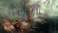 A Los Angeles city firefighter walks through a charred field as he looks for hot spots after the Carr Fire burned through the area on July 29, 2018 in Redding, California.  Justin Sullivan/Getty Images/AFP
