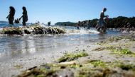 Toxic algae are seen on the beach in Gdynia, Poland, July 3, 2015. Lukasz Glowala/Agencja Gazeta/via Reuters
