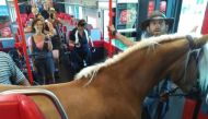 Photos of the young man holding Frieda surrounded by laughing passengers were shared on social media