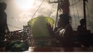 A scene from 
