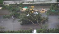 A driver removes a fallen tree during Typhoon Mangkhut in Hong Kong, China September 16, 2018 in this still image obtained from a social media video. INSTAGRAM/ @pcmarriott 