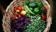 Freshly harvested vegetables are shown in a basket after they were picked during the fall harvest of the White House Kitchen Garden at the White House, October 20, 2010. Reuters/Jason Reed