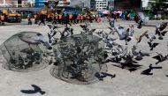 Government officers catch pigeons on a street side in Bangkok, Thailand September 26, 2018. REUTERS/Soe Zeya Tun