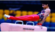 Ahmed Al Dayani in action on the pommel horse in this file photo.
