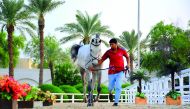 A rider walks along with a horse at a vet check ahead of the second round of the Hathab Equestrian Series at the Qatar Equestrian Federation arena yesterday.
