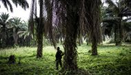 A soldier from the the Armed Forces of the Democratic Republic of the Congo (FARDC) standing in position outside an FARDC camp during a patrol in Beni on November 13, 2018.  AFP / John Wessels 

 