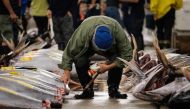 A buyer inspects fish before the final tuna auction at the landmark Tsukiji fish market the last day of operations before closing its doors in Tokyo on October 6 2018 AFP Nicolas Datiche