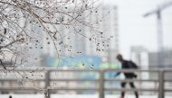 A man walks across a bridge as ice collects on a tree branch on December 9, 2018 in Charlotte, North Carolina. Nearly 250,000 energy customers are without power because of the winter storm. Sean Rayford/Getty Images/AFP 