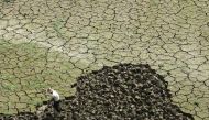 FILE PHOTO : A farmer works on a drought-hit paddy field on the outskirts of Chongqing municipality