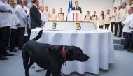 French President Emmanuel Macron's pet dog, Nemo, walks past a traditional Epiphany cake, as Emmanuel Macron delivers a speech during a ceremony at the Elysee palace in Paris, France, on January 11, 2019. AFP/Ian Langsdon  