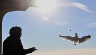 A man feeds a seagulls on the Coney Island Boardwalk on a cold winter day in New York on January 22, 2019. AFP / Angela Weiss