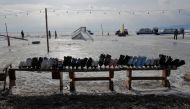 Representational image: Skates wait for the customers at the Lake Baikal covered with ice near the Siberian village of Listvyanka, in Irkutsk region, Russia, March 13, 2019. Reuters/Vasily Fedosenko
