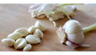 The natural compound found in garlic, allyl sulfide, improves the health of bacteria in the stomach and also improve cognitive health in the elderly. (Reuters file photo)