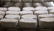Camembert cheeses stored to ripen at a cheese farm in the French northwestern village of Camembert in Normandy, where the Camembert cheese originated on April 11, 2013. AFP / Charly Triballeau 