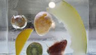 Iced fruits are displayed at the Alimentaria trade show in Barcelona April 2, 2014. Reuters/Albert Gea