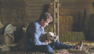 Still from the movie A Dogs Journey.