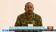 In this video grab released by the Ethiopian TV broadcast, Ethiopia's Prime Minister Abiy Ahmed addresses the public on television on June 23, 2019 after a failed coup.  AFP / Ethiopian TV / HO