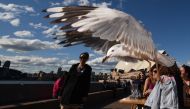 (FILES) File photo taken on September 16, 2016 shows a seagull flying past diners at Sydney Harbour. AFP / PETER PARKS