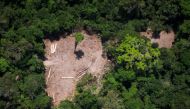 An aerial view of an illegal felling area in the Amazon forest during an overflight by Greenpeace activists over areas of illegal exploitation of timber, as part of the second stage of the 