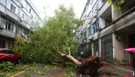 An uprooted tree is seen on a street after Typhoon Lekima hit Taizhou, Zhejiang province, China August 10, 2019. REUTERS/Stringer