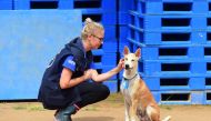 In this picture taken on July 23, 2019, World Food Programme (WFP) official Gemma Snowdon (L) interacts with Foxtrot, a dog with the WFP K9 unit, in the Kutupalong camp for Rohingya refugees in southern Bangladesh.  AFP / Munir UZ ZAMAN