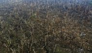 Aerial view of burnt areas of the Amazon rainforest, near Abuna, Rondonia state, Brazil, on August 24, 2019. AFP / CARL DE SOUZA
