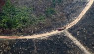 Aerial view of burnt areas of the Amazon rainforest, near Boca do Acre, Amazonas state, Brazil, in the Amazon basin, on August 24, 2019.  AFP / Lula Sampaio  